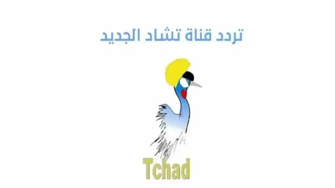تردد قناة Tele Tchad لمتابعة كأس العالم على الهواء مباشرة